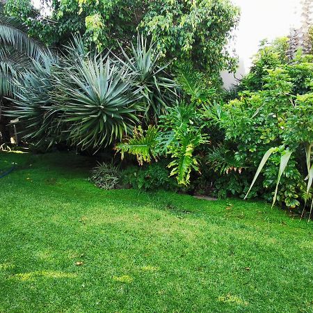 Mulberry Gardens Self Catering Apartment Swakopmund Luaran gambar