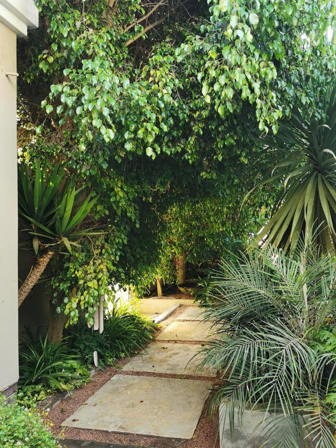 Mulberry Gardens Self Catering Apartment Swakopmund Luaran gambar